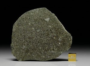 NWA 7317 (45.00  gram)