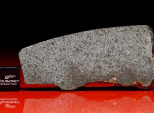 NWA 5496 (10.96 gram)