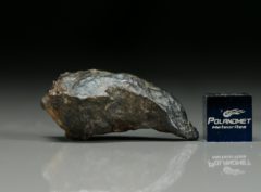 NWA 6258 (17.07 gram)