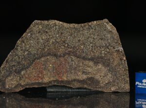 NWA 5505 (8.05 gram)