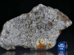 NWA 7168 (30.66 gram)