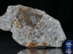 NWA 7168 (39.70 gram)