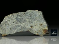 NWA 8322 (20.97 gram)