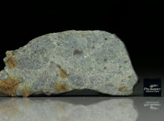 NWA 8322 (21.69 gram)