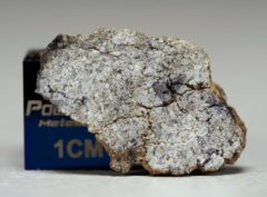 NWA 5219 (0.98 gram)