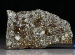 NWA 8646 (51.0 gram)