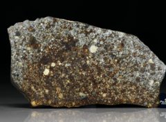 NWA 8646 (72.4 gram)