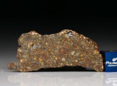 NWA 10296 (10.44 gram)