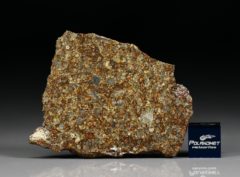 NWA 10297 (8.98 gram)
