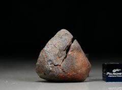 GAO-GUENIE (11.98 gram)