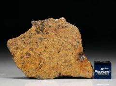 DHOFAR 1658 (11.26 gram)