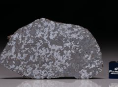 NWA 11639 (27.88 gram)