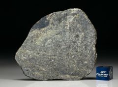 NWA 6232 (18.80 gram)