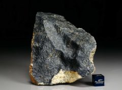 NWA 6309 (598 gram)