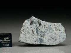 OUADANGOU (16.52 gram)