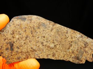 NWA 8324 (30.24 gram)