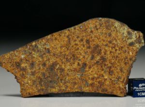 NWA 8324 (21.08gram)