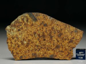 NWA 8324 (23.19 gram)