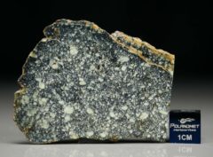 NWA 4965 (8.45 gram)