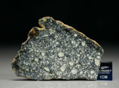NWA 4965 (7.67 gram)