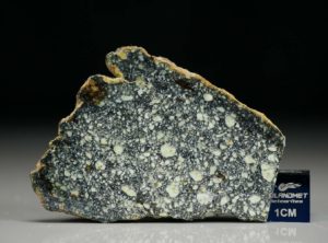 NWA 4965 (7.67 gram)