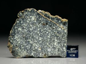 NWA 4965 (8.36 gram)