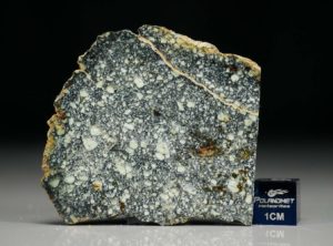 NWA 4965 (9.57 gram)