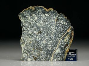 NWA 4965 (9.58 gram)