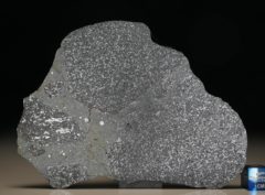 TASSÉDET 004 (57.8 gram)