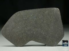 NWA 12816 (41.92 gram)