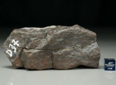 D37 (264 gram)
