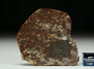 NWA 8355 (15.18 gram)