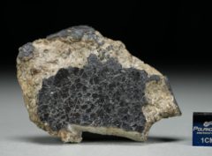 NWA 8321 (28.05 gram)
