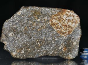 NWA 8305 (34.98 gram)