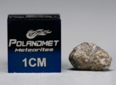 NWA 5219 (0.311 gram)
