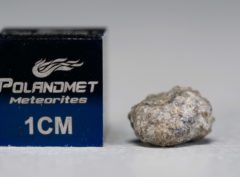 NWA 5219 (0.380 gram)