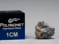 NWA 5219 (0.387 gram)