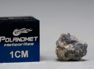 NWA 5219 (0.387 gram)