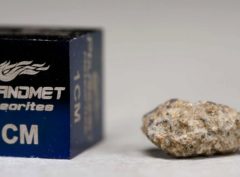 NWA 5219 (0.362 gram)