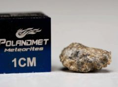 NWA 5219 (0.484 gram)
