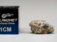NWA 5219 (0.402 gram)