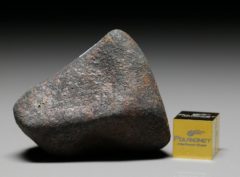 GAO-GUENIE (49.7 gram)