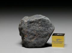 GAO-GUENIE (37.3 gram)