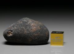 GAO-GUENIE (36.8 gram) 2