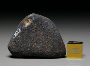 GAO-GUENIE (34.4 gram)