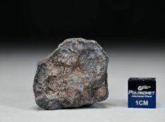GAO-GUENIE Oriented (19.0 gram)
