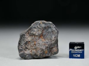 GAO-GUENIE Oriented (19.0 gram)