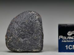 GAO-GUENIE Oriented (3.4 gram)
