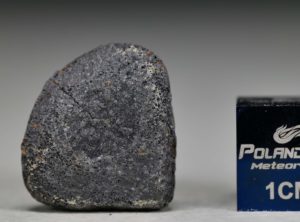 GAO-GUENIE Oriented (3.4 gram)