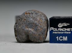 GAO-GUENIE Oriented (3.2 gram)